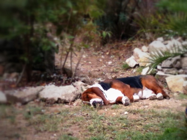 20110911-112709.jpg